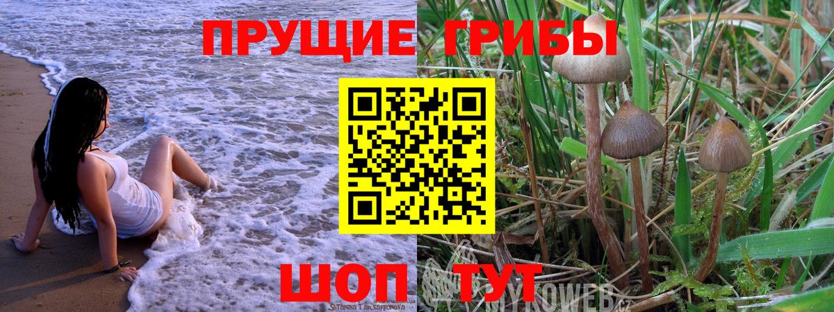 Елизово  Галлюциногенные грибы прущие грибы  Вход с VPN 