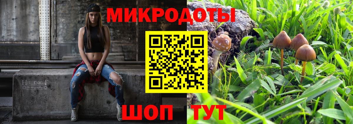Галлюциногенные грибы Psilocybe Елизово
